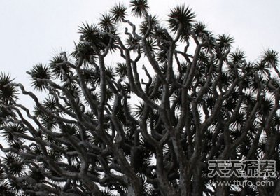 盘点全球最古怪的13个地方:震撼你双眼的地界