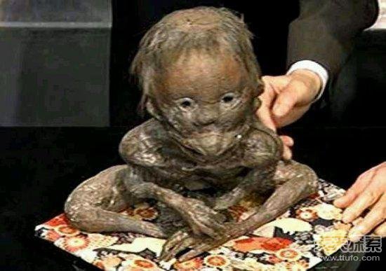 历史上那些千奇百怪的发现 天使竟在南非?