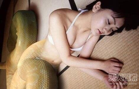 震惊!印尼发现人头蛇身怪物 到底是真是假?