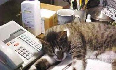 惊呆了!盘点世界上十大匪夷所思的怪事