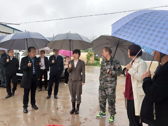 缙云县委书记调研潜明水库文保建筑搬迁工程