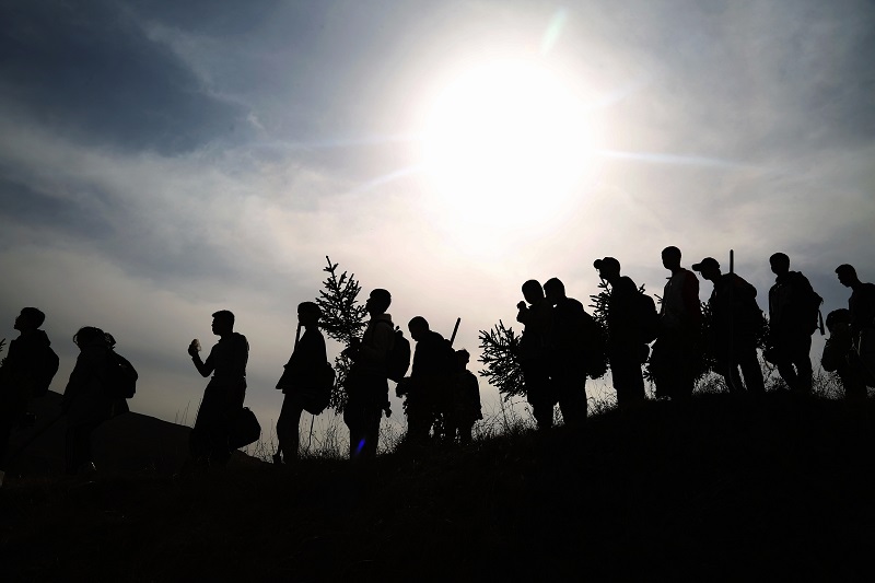 05——师生在搬运绿化苗木。