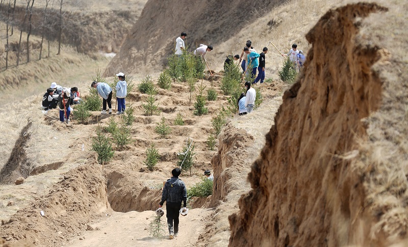 12——师生在山坡上种植绿化苗木。