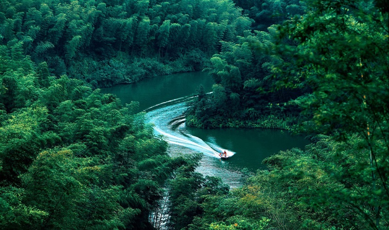 赤水竹海国家森林公园
