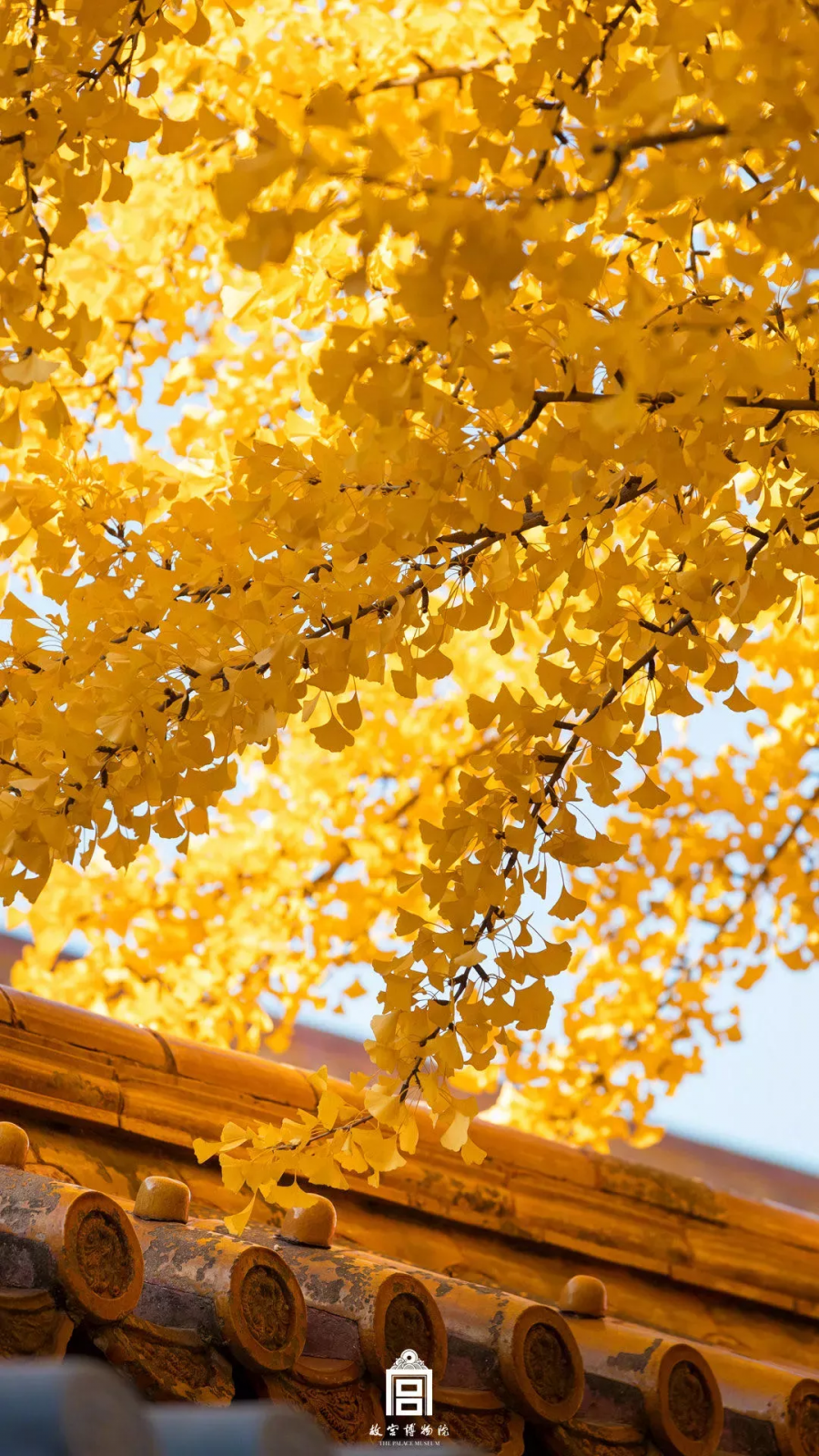 图片 28.png 图片 28.png