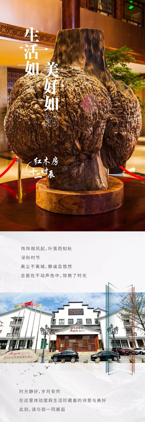 1637117252913155.jpg 2.jpg