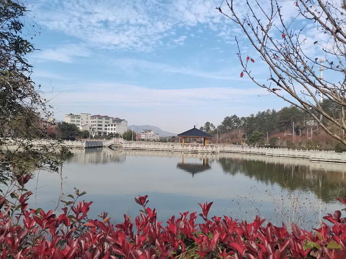 9.永康大力推广垃圾分类,建设无废乡村。