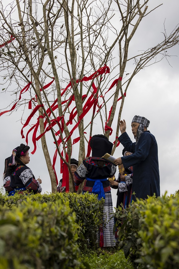 2022年3月27日,贵州省六枝特区落别乡茶叶基地,执事者正在组织“结梦花”活动。