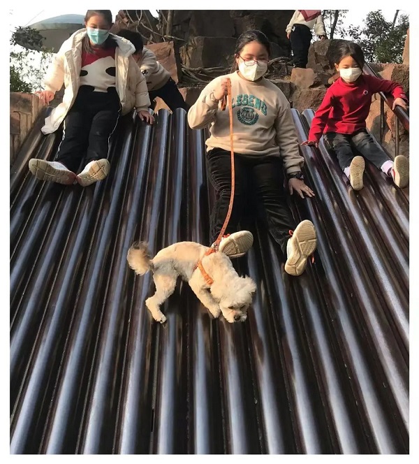 “肺”常时期之十一