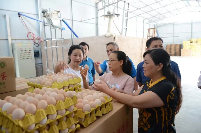 省红十字会党组书记、常务副会长尹秋莲到中潮镇兴隆村调研博爱家园项目点蛋鸡养殖场生产运营情况