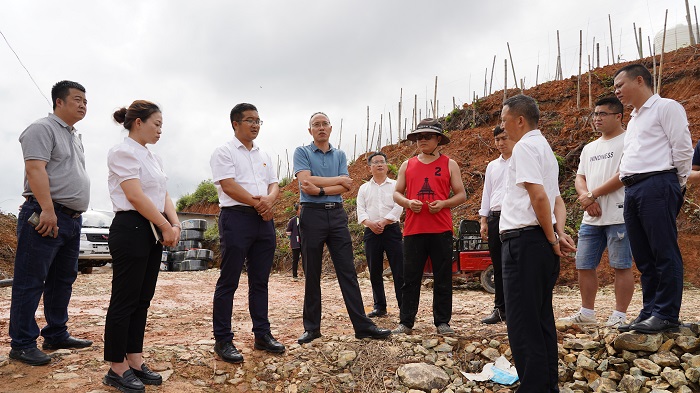 图为县委书记周崇军带队到联新村调研百香果产业 (1)