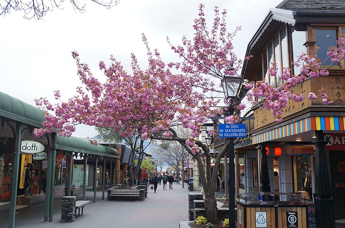 美丽的皇后小镇