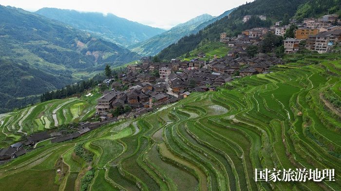 2023年6月19日,在贵州省黔东南苗族侗族自治州从江县加榜乡加车村拍摄的梯田景色。 (2)