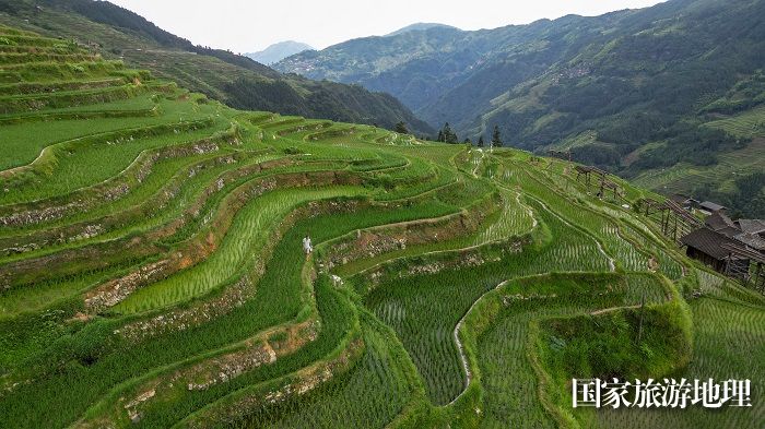 2023年6月19日,在贵州省黔东南苗族侗族自治州从江县加榜乡加车村拍摄的梯田景色。 (4)
