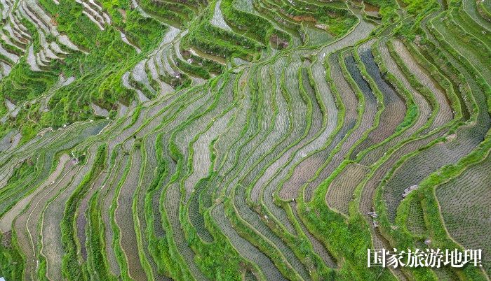 2023年6月19日,在贵州省黔东南苗族侗族自治州从江县加榜乡加车村拍摄的梯田景色。 (6)