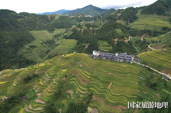 别通梯田-图片1