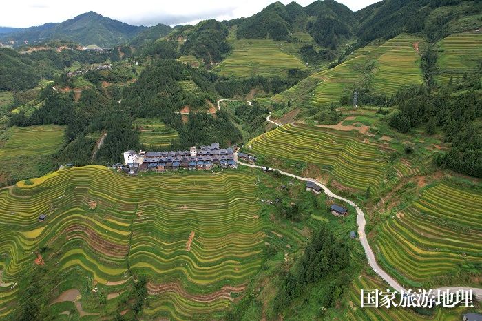 别通梯田-图片2