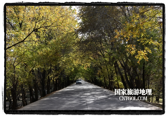 扎兰屯市五彩缤纷赏秋色“游人如织”(图)