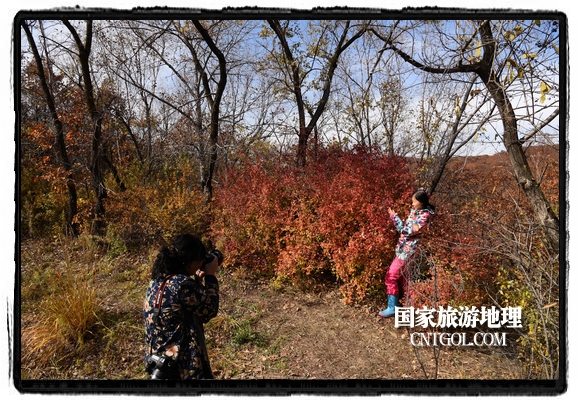 扎兰屯市五彩缤纷赏秋色“游人如织”(图)