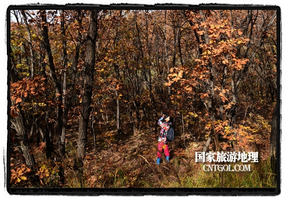 扎兰屯市五彩缤纷赏秋色“游人如织”(图)