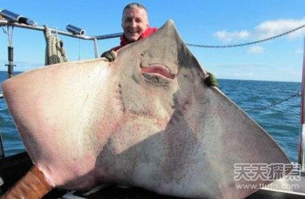 全球意外捕获的十大神秘物种 抓到就是撞大运