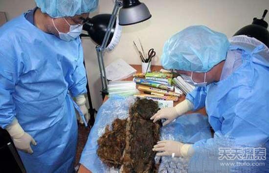 北极洲发掘一具女性木乃伊 其脸部清晰可见！