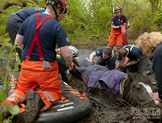 小伙晨练听到凄惨声 眼前的一幕实在令人担忧