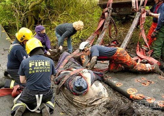 小伙晨练听到凄惨声 眼前的一幕实在令人担忧