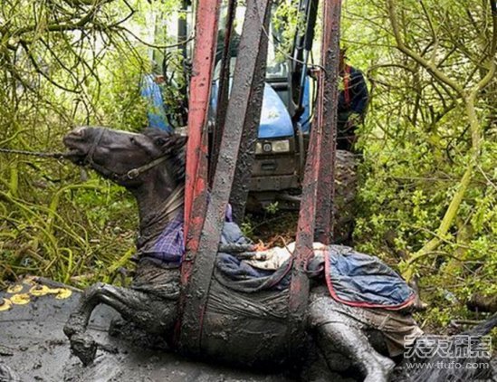 小伙晨练听到凄惨声 眼前的一幕实在令人担忧
