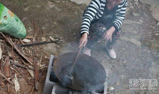 民间神奇偏方：牛羊粪便泡水喝治百病