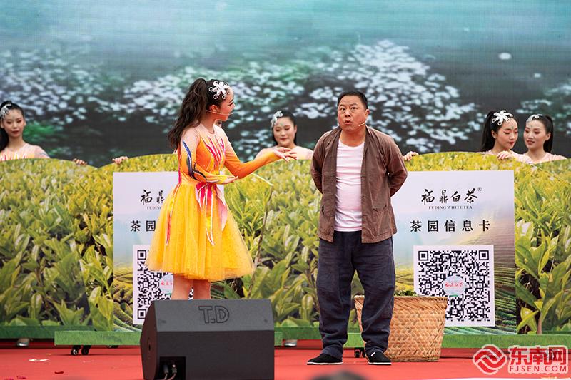 “中国白茶之乡”福鼎举办第九届白茶开茶节