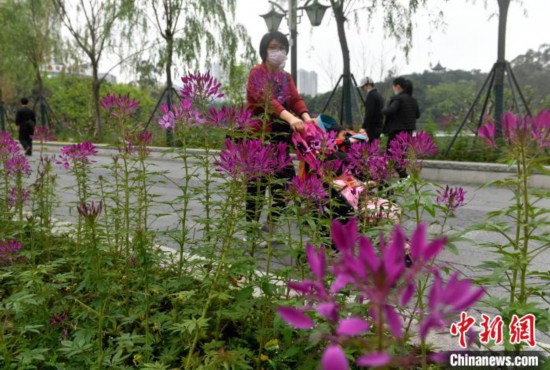 福州：清明踏青赏花享春光