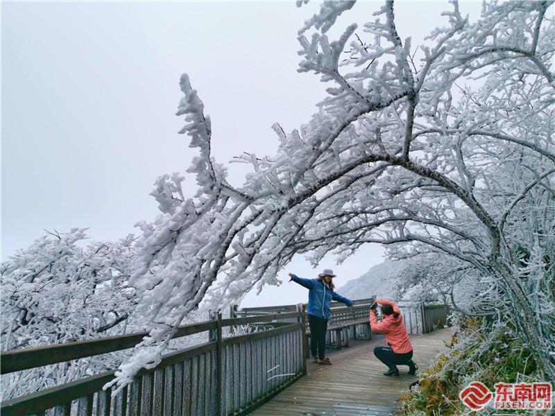 阳春回雪，建宁金铙山现雾凇奇观