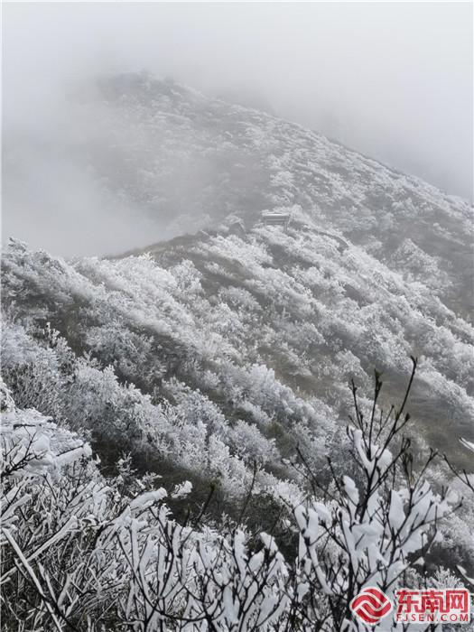 阳春回雪，建宁金铙山现雾凇奇观