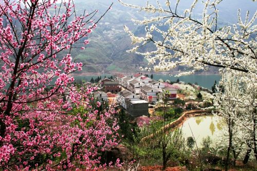 图4：全国乡村旅游重点村柑园安置点建在美景中   唐探峰摄