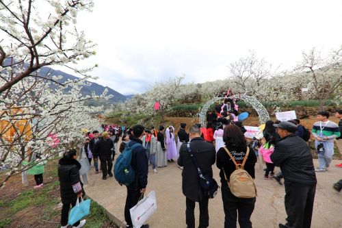 图6：全国乡村旅游重点村柑园游客络绎不绝   唐探峰摄