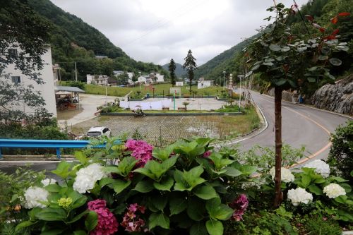 图7：大垭云中花谷生态停车场   唐探峰摄