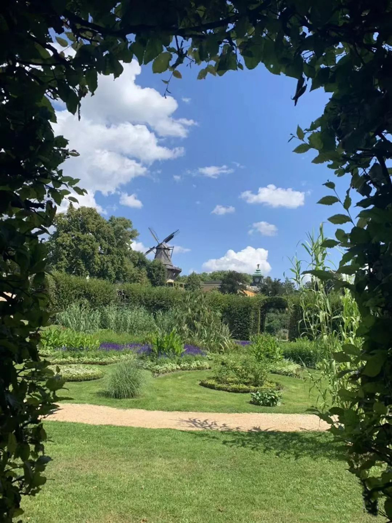 葡萄山为无忧宫著名的梯形园林