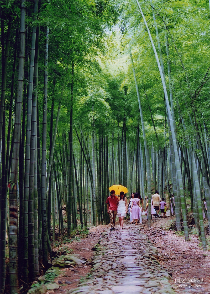 林海游人