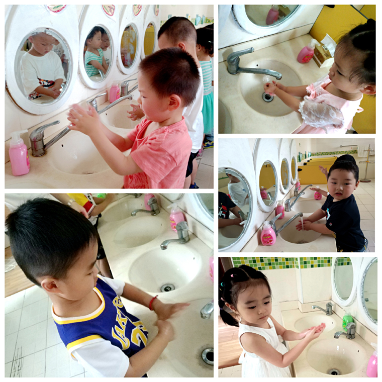 七步洗手法洗手