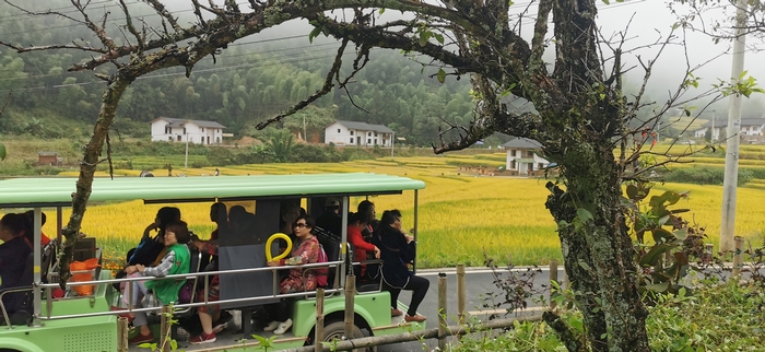 专门来探访梯田的外地游人坐车观光