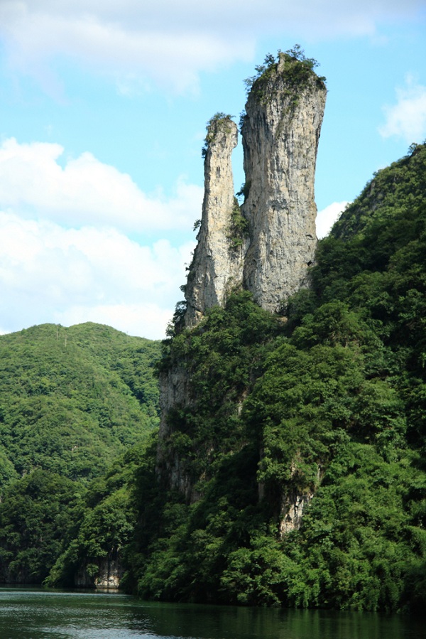 孔雀展翅