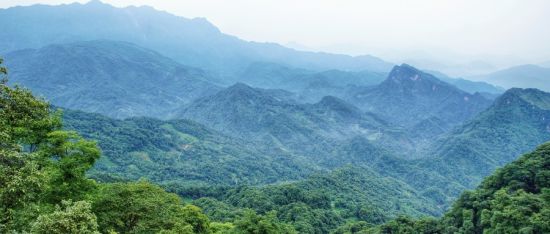 (青城山实景图)