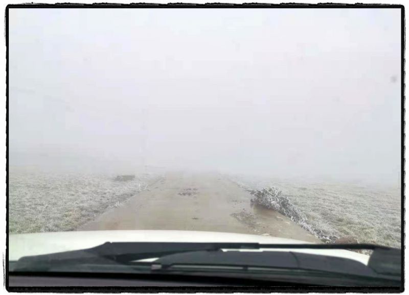 电力工程车穿梭在山路中，低温天气下，雾气缭绕，道路能见度极低。（杨小明）