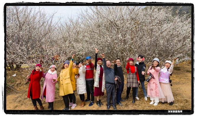 3、2021年1月13日，游客在苍梧县狮寨镇古东村欣赏雪白的青梅花并留影（何华文）