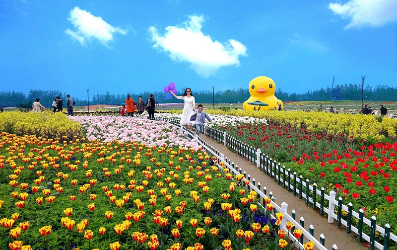 盐城大丰花海