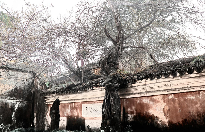 图片6