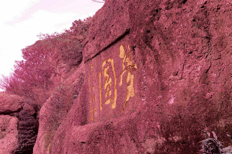 图片10