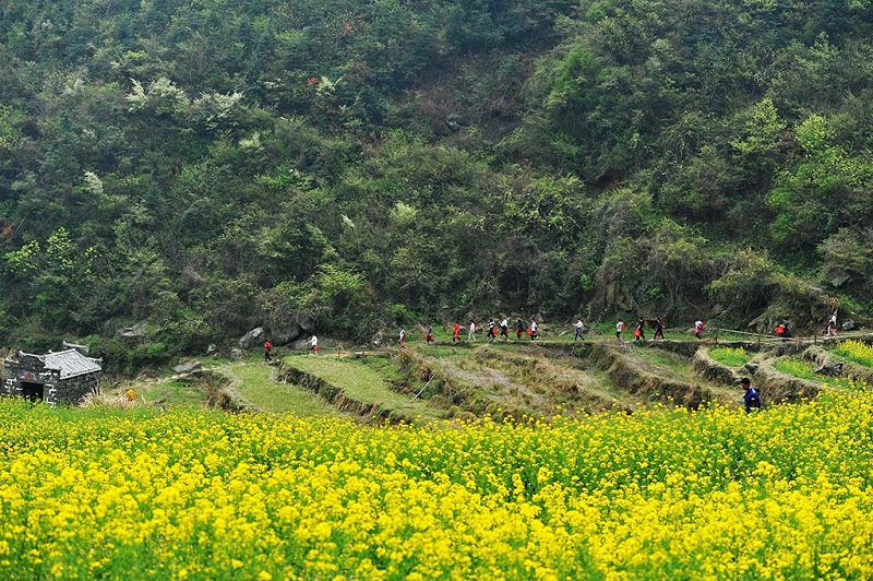 南昌洗药湖梅岭古道春色
