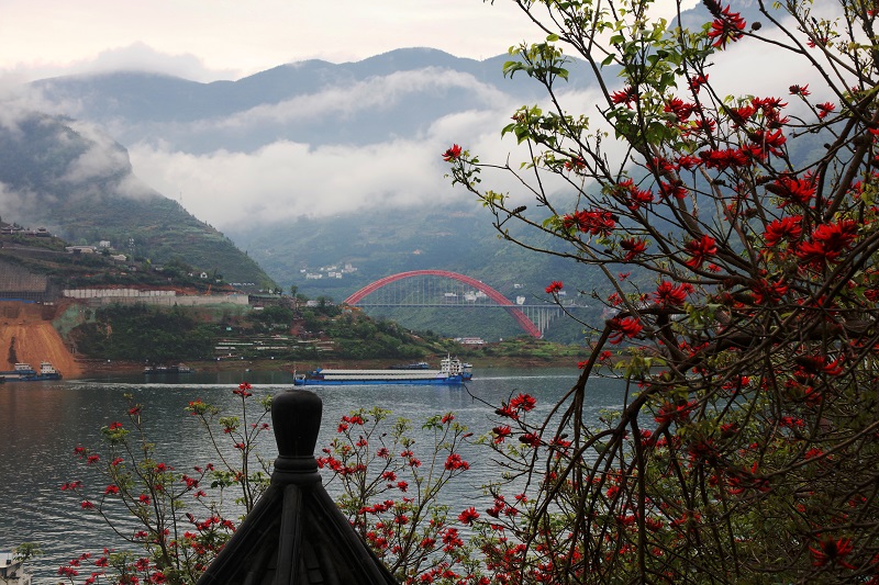 图4：巫山碧湖白龙恋红花彩虹飞。唐探峰摄